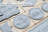 Future Mr and Mrs Address Stamp, Personalized Address Stamp, Custom Stamp - A106